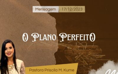 O plano perfeito